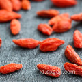 Kualitas Baik Organik Kering Goji Berries 200 #